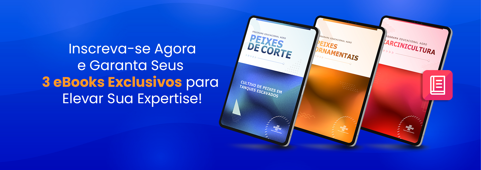 Bônus Imperdível: 3 eBooks Exclusivos com Sua Inscrição!